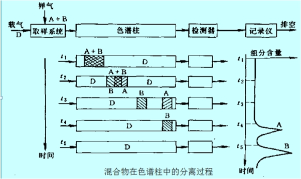 Image 12.jpg